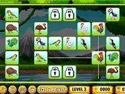Birds Link
