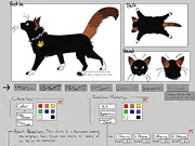 Create a Cat