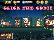 Find Odd Thing