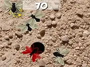 Smash the Flies