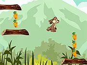 Hopper Bunny