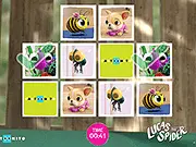 Lucas the Spider: Matching Pairs