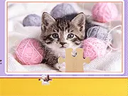 Cat's Life Jigsaw