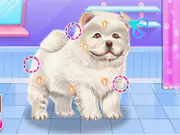 Chow Chow Spa Salon