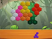 Hexa Jungle