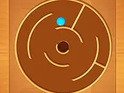 Spiny Maze Puzzle