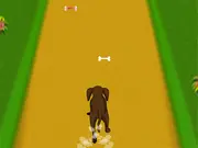 Dog Dash