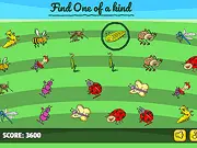 The Unique Insect