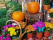 100 Butterflies: Autumn Garden