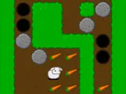 24 Carrots