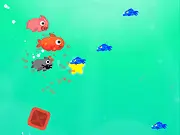 Fishy Trick