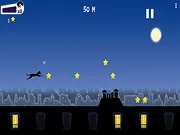Mister Speedy the Cat