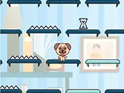 Puppy Jump