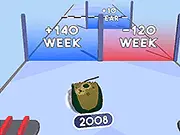 Mouse Evolution