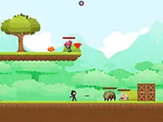 Pixi Platform