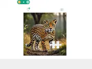 Jigsaw Puzzles
