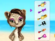 Super Star - Animal Salon
