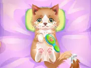 ASMR Kitty Treatment