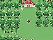 Woodland Adventure