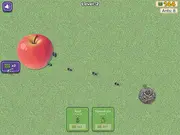 Ants Party
