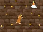 Carrot Climber