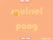 Squirrel Pong