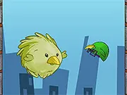 Pump Up The Birds
