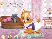Kitten Cleaning Room