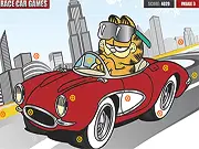 Garfield Hidden Car Tires