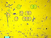 Bubbles Shooting Mania