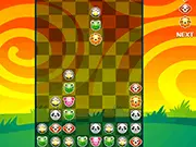 Pet Party Columns