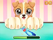 Puppy Fun Care