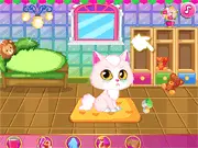 Cat Room Design