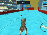 Cat Simulator: Kitty Craft!
