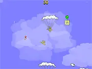 Skydiver Flash