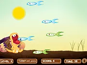 Feed Dino