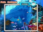 Fish Culture