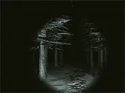 Cabin Horror