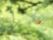 The Amazing Dare-Dozen