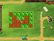 Little Farm