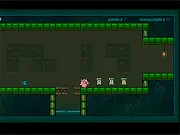 Pig Dream