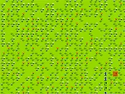 The Minesweeper