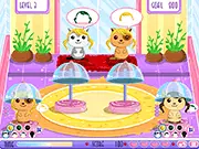 Cat Hair Salon Flash