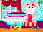 Bunny Care Description