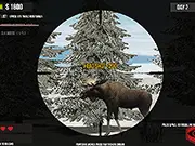 Contract Deer Hunter