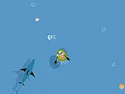 Aqua Massaqua