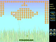 Crazy BeeCanoid