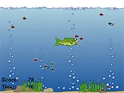 A Day in Water