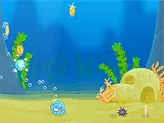Octobubble