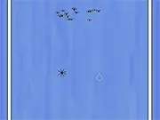 Spider in the Rain